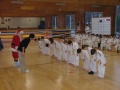 judo24