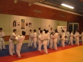 judo31