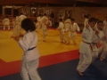 judo81