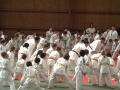 judo40