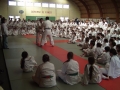 judo41