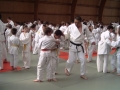 judo43