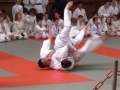 judo46