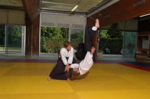 aikido